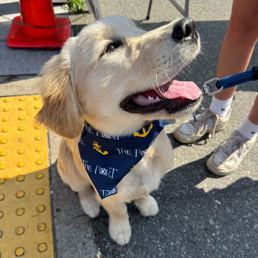 Doggie Bandana