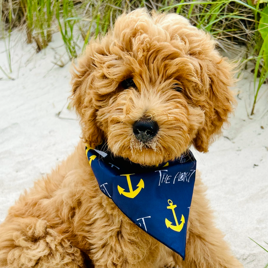 Doggie Bandana