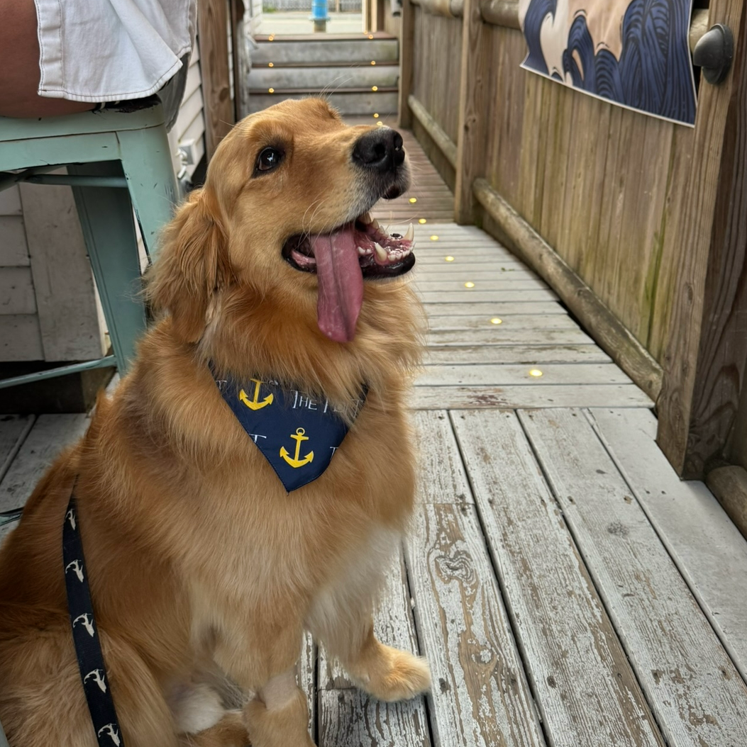 Doggie Bandana