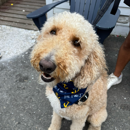 Doggie Bandana